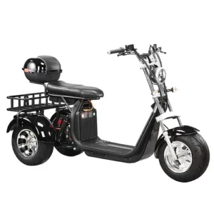 ETrike GI-EB-05WQ - 3000 Watt